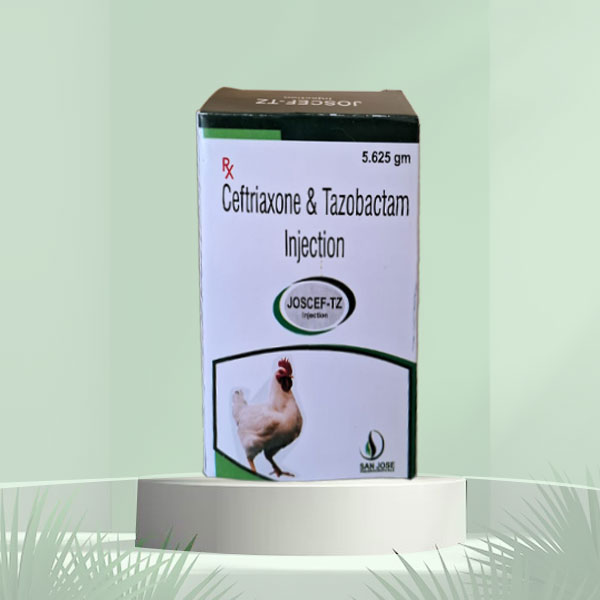 Ceftriaxone & Tazobactam